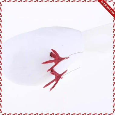 Chim bồ câu nhân tạo leipupa - Trang trí lông vũ, mô phỏng chim thật, giá ưu đãi 89.100₫ 5