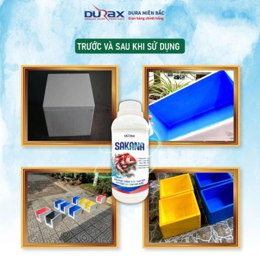 Chính Hãng Sơn Chống Thấm DURA SAKANA cho Hồ Cá, Thùng Xốp, Chậu Cây – 38.600 VND 9