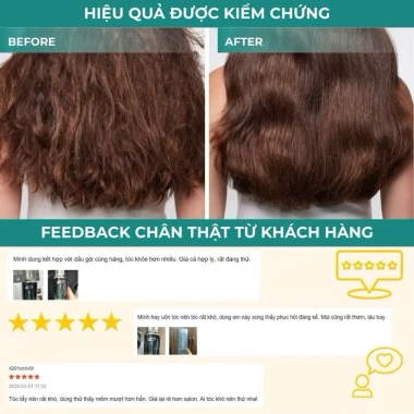 Chính Hãng Tinh Dầu Dưỡng Tóc Camellia Seed 50ml Chống UV + Quà Tặng - Giá 250k
