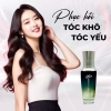 Chính Hãng Tinh Dầu Dưỡng Tóc Camellia Seed 50ml Chống UV + Quà Tặng - Giá 250k 7