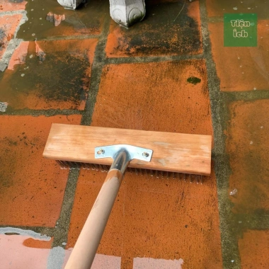 Chổi cọ chà rêu đa kích thước 20-50cm, tay cầm 115cm, bọc nilon - Vệ sinh sân, xóa bám lâu năm - 49.000đ 8