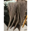Chổi Quét Sân Vườn Xương Dừa Trắng Cứng Cáp Dẻo Quét Nước Giá 25.000đ Giảm từ 32.500đ