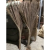 Chổi Quét Sân Vườn Xương Dừa Trắng Cứng Cáp Dẻo Quét Nước Giá 25.000đ Giảm từ 32.500đ 10