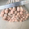 Chổi sắt chà rong rêu, có tay cầm - Vệ sinh sân vườn, bể bơi, Giá 50.000đ 6