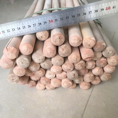 Chổi sắt chà rong rêu, có tay cầm - Vệ sinh sân vườn, bể bơi, Giá 50.000đ 6 Chổi sắt chà rong rêu, có tay cầm - Vệ sinh sân vườn, bể bơi, Giá 50.000đ 6