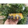 Chống hú liền Reverb TNA - Giá chỉ 402.294đ, âm thanh trong trẻo, dễ lắp đặt 4