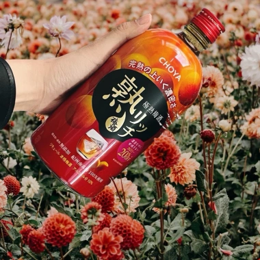 Choya Mơ đào đỏ - Mơ đường nâu 620k, giảm còn 485k, trái cây tươi ngọt tự nhiên