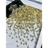 Chram gắn móng tay cao cấp - Độ bền vượt trội, bảo vệ móng chắc, giá chỉ 12.000đ 10