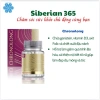Chronolong Siberian Wellness – Tăng vòng 1, Da đẹp, Mờ nám, Tăng nội tiết tố nữ, Chống lão hóa, Giá 470.000 VND