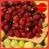 Chùm ruột muối ớt đặc biệt dẻo chua cay - Mứt trái cây ăn vặt văn phòng | HTC Foods 109k 4