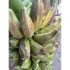 Chuối Hột Tươi 2kg Giảm Giá - Ngâm Rượu Tốt Chỉ 65000đ/Kg Thay 79300đ 3