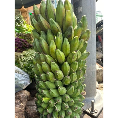 Chuối Hột Tươi 2kg Giảm Giá - Ngâm Rượu Tốt Chỉ 65000đ/Kg Thay 79300đ 4