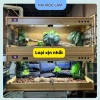 Chuồng nuôi gà Rutin 3 mặt kính, đồng hồ điều nhiệt, tủ hamster mini - 2.15 triệu 2