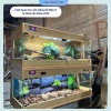 Chuồng nuôi gà Rutin 3 mặt kính, đồng hồ điều nhiệt, tủ hamster mini - 2.15 triệu 3