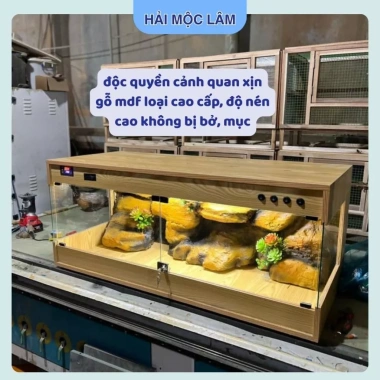 Chuồng nuôi gà Rutin 3 mặt kính, đồng hồ điều nhiệt, tủ hamster mini - 2.15 triệu 4
