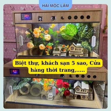 Chuồng nuôi gà Rutin 3 mặt kính, đồng hồ điều nhiệt, tủ hamster mini - 2.15 triệu 6