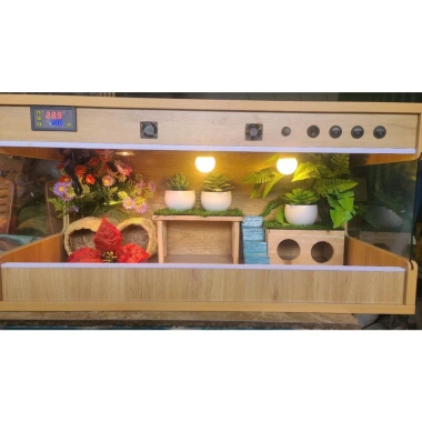 Chuồng nuôi gà Rutin 3 mặt kính, đồng hồ điều nhiệt, tủ hamster mini - 2.15 triệu 7