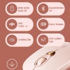 Chuột Bluetooth SIDOTECH Q8 hồng cute, silent, BT5.1, pin sạc, chỉnh DPI – Laptop, iPad, MacBook – 209.000₫ 9