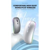 Chuột không dây 2 chế độ 2.4G và Bluetooth 5.2, Pin sạc Type C, giá 120.000₫ 2