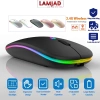Chuột Không Dây LAMJAD Pin Sạc Click êm ái Tín hiệu 10-20m Giá 84.999 VND