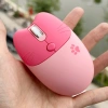 Chuột không dây MOFII M3 Tai mèo dễ thương - Chính hãng, giảm giá 169k 10