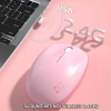 Chuột không dây Mofii M8AG 2.4G 1.600DPI cute hình gấu, giá chỉ 99.000đ 3