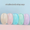 Chuột không dây Mofii M8AG 2.4G 1.600DPI cute hình gấu, giá chỉ 99.000đ 8