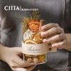 CITTA Hộp Quà Tinh Dầu Thơm PLANT SPIRIT - Khuếch Tán và Trang Trí Bàn Làm Việc, Giá 272.999₫