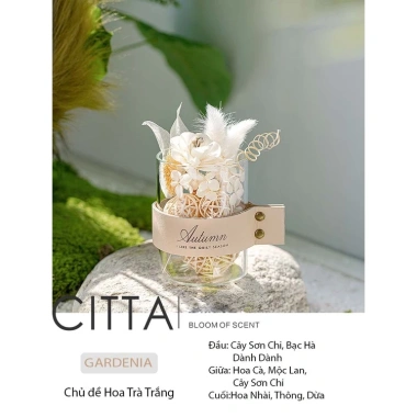 CITTA Hộp Quà Tinh Dầu Thơm PLANT SPIRIT - Khuếch Tán và Trang Trí Bàn Làm Việc, Giá 272.999₫ 6