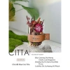 CITTA Hộp Quà Tinh Dầu Thơm PLANT SPIRIT - Khuếch Tán và Trang Trí Bàn Làm Việc, Giá 272.999₫ 7