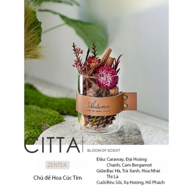 CITTA Hộp Quà Tinh Dầu Thơm PLANT SPIRIT - Khuếch Tán và Trang Trí Bàn Làm Việc, Giá 272.999₫ 7