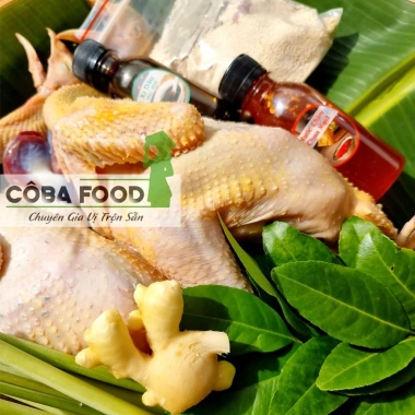 Cô Ba Food Gia Vị Gà Ủ Xì Dầu Thảo Mộc 1 Sét và Sốt Thái 100ml - Giảm Giá 99k 7