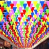 Cờ Bunting 80/100m Đa Màu - Biểu Ngữ Tam Giác DIY Trang Trí Tiệc Ngoài Trời
