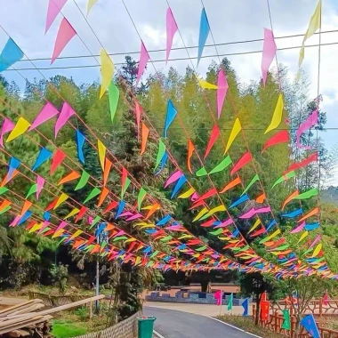 Cờ Bunting 80/100m Đa Màu - Biểu Ngữ Tam Giác DIY Trang Trí Tiệc Ngoài Trời 4