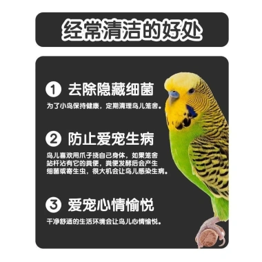 Cọ chuồng thú cưng 2 trong 1 đầu cong PP làm sạch khe hẹp cho mèo chó vẹt thỏ - 124.568 VND 9