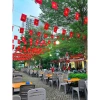 Cờ dây sao Đảng 9m 2 mặt 1 mặt - Cờ đỏ sao vàng trang trí lễ Tết, ngoài trời, giá ưu đãi 57.000₫