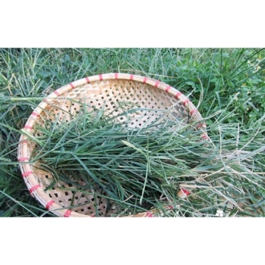 Cỏ mần trầu 1kg - Hương thơm tự nhiên, giảm giá 18% chỉ 50.000 VND, giao nhanh 2