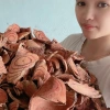 Cỏ Máu Khô 1kg - Bổ máu, ăn ngon, ngủ ngon, hỗ trợ tiêu hoá, tăng cân tự nhiên, giảm còn 99.000₫ 2