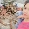 Cỏ Máu Khô 1kg - Bổ máu, ăn ngon, ngủ ngon, hỗ trợ tiêu hoá, tăng cân tự nhiên, giảm còn 99.000₫ 3