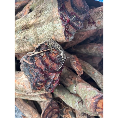 Cỏ Máu Khô 1kg - Bổ máu, ăn ngon, ngủ ngon, hỗ trợ tiêu hoá, tăng cân tự nhiên, giảm còn 99.000₫ 7