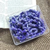Có Sẵn 10 Hạt Cá Gốm Vòng Tay Handmade Giảm Giá 26.000 Độc Đáo Thân Thiện Môi Trường 5