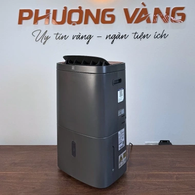 Có xuất VAT Máy hút ẩm Electrolux EDH12TRBD2 24L/ngày, lọc không khí, phòng dưới 50m2, bảo hành 2 năm, đổi mới 30 ngày