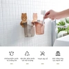 Cốc gấu dán tường đựng bàn chải & kem đánh răng - Nâu siêu đáng yêu, chỉ 22.000₫ 4