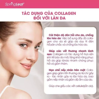 Collagen 6in1 SpringLeaf Úc nhập khẩu - Chống lão hóa, sáng da, mờ thâm - 539k