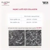 Collagen Elasten 3 Hộp - Da Căng Mịn, Chống Lão Hóa, Tóc Khỏe | 8,664,000₫ 3