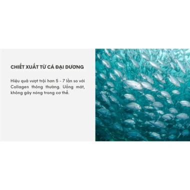Collagen Marine Thủy Phân Da Cá Codeage 450g - Giảm Đặc Biệt, Giá 2.090.000₫