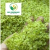 Cốm hữu cơ BIO ORGANIC loại 1 – Giảm giá 31.000₫, thơm ngon, an toàn, dinh dưỡng cao 6