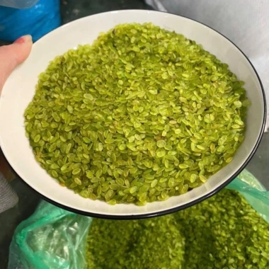 Cốm Xanh Dẹp 500g Đặc Sản To Dày Không Bảo Quản - Nấu Chè, Làm Chả Giá 27.999 VND
