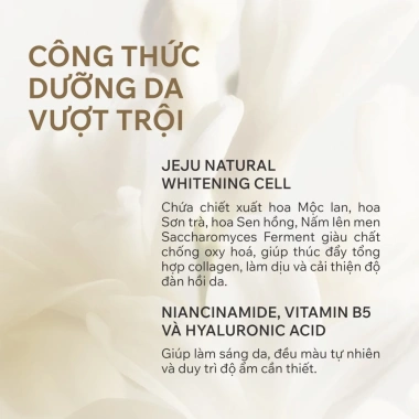 Combo 02 Sữa tắm 580ml hương nước hoa cao cấp làm sạch dịu nhẹ, tăng độ đàn hồi da 3