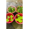 Combo 1-6 lá hoa thủy nữ thả bể cá cảnh - Trang trí thủy sinh, giá sỉ 9.000đ 6